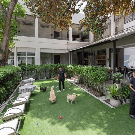 Ketawa Pet Friendly Hotel Csiangmaj Kültér fotó