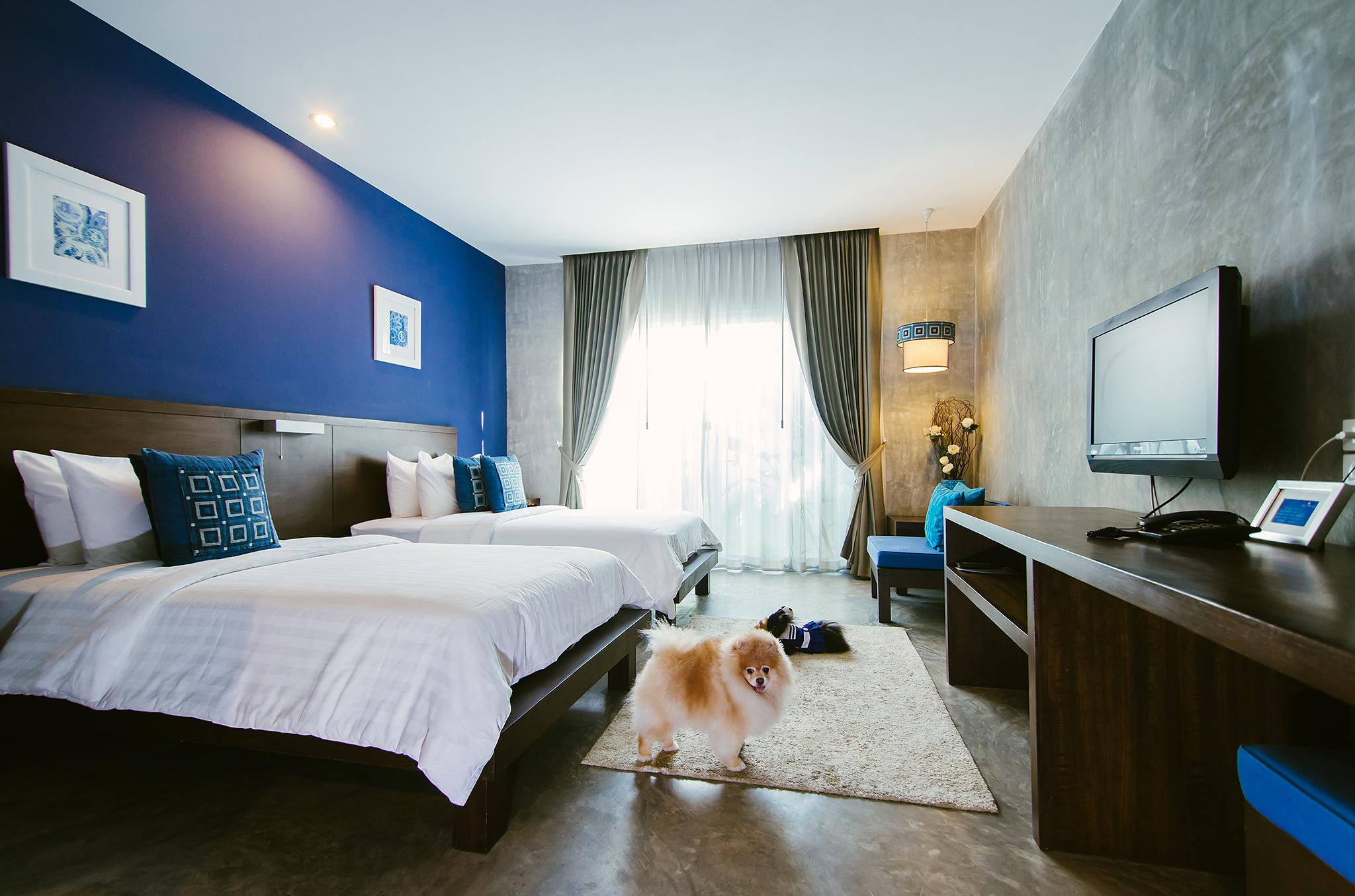 Ketawa Pet Friendly Hotel Csiangmaj Kültér fotó
