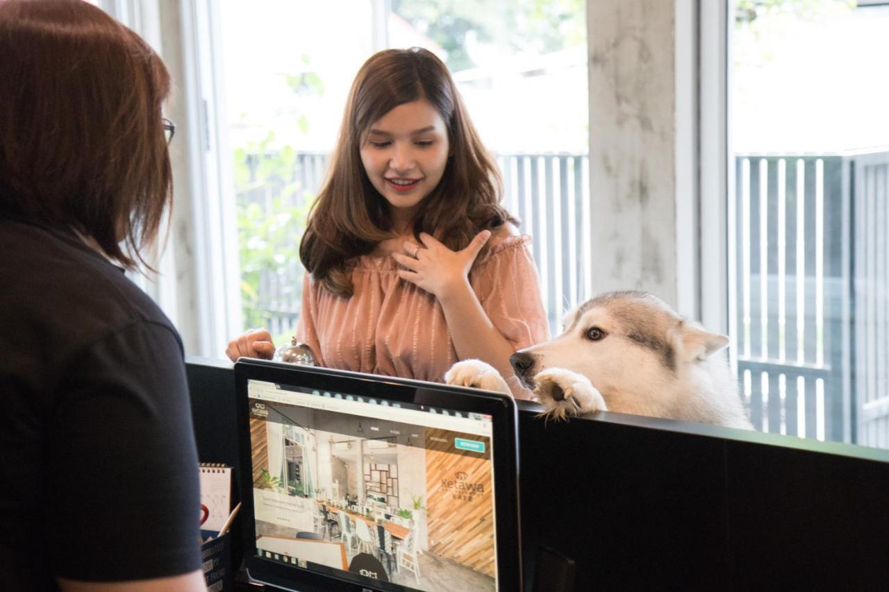 Ketawa Pet Friendly Hotel Csiangmaj Kültér fotó