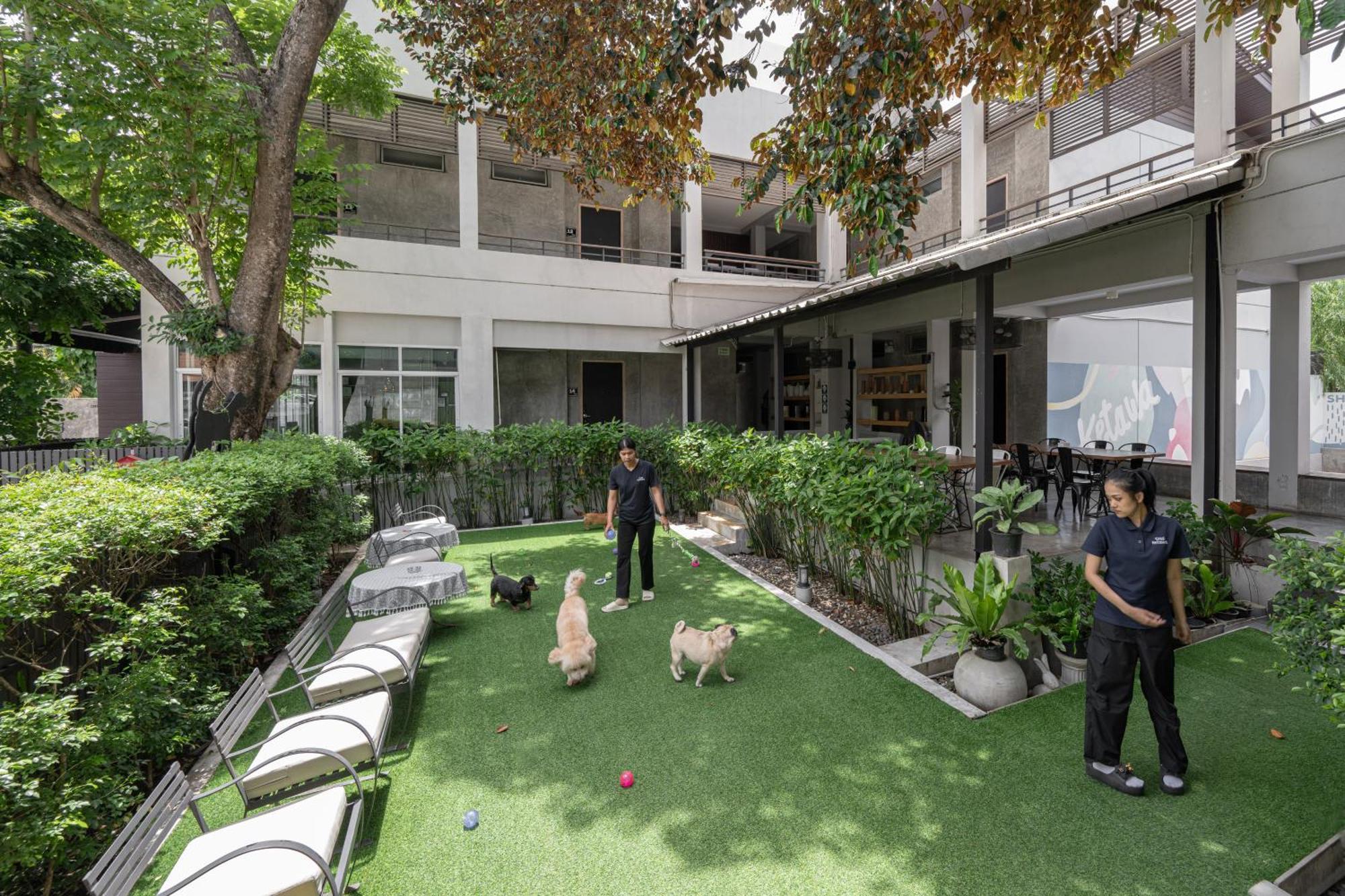 Ketawa Pet Friendly Hotel Csiangmaj Kültér fotó