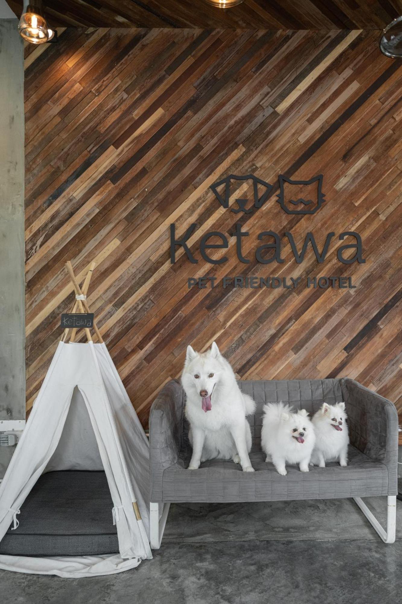 Ketawa Pet Friendly Hotel Csiangmaj Kültér fotó