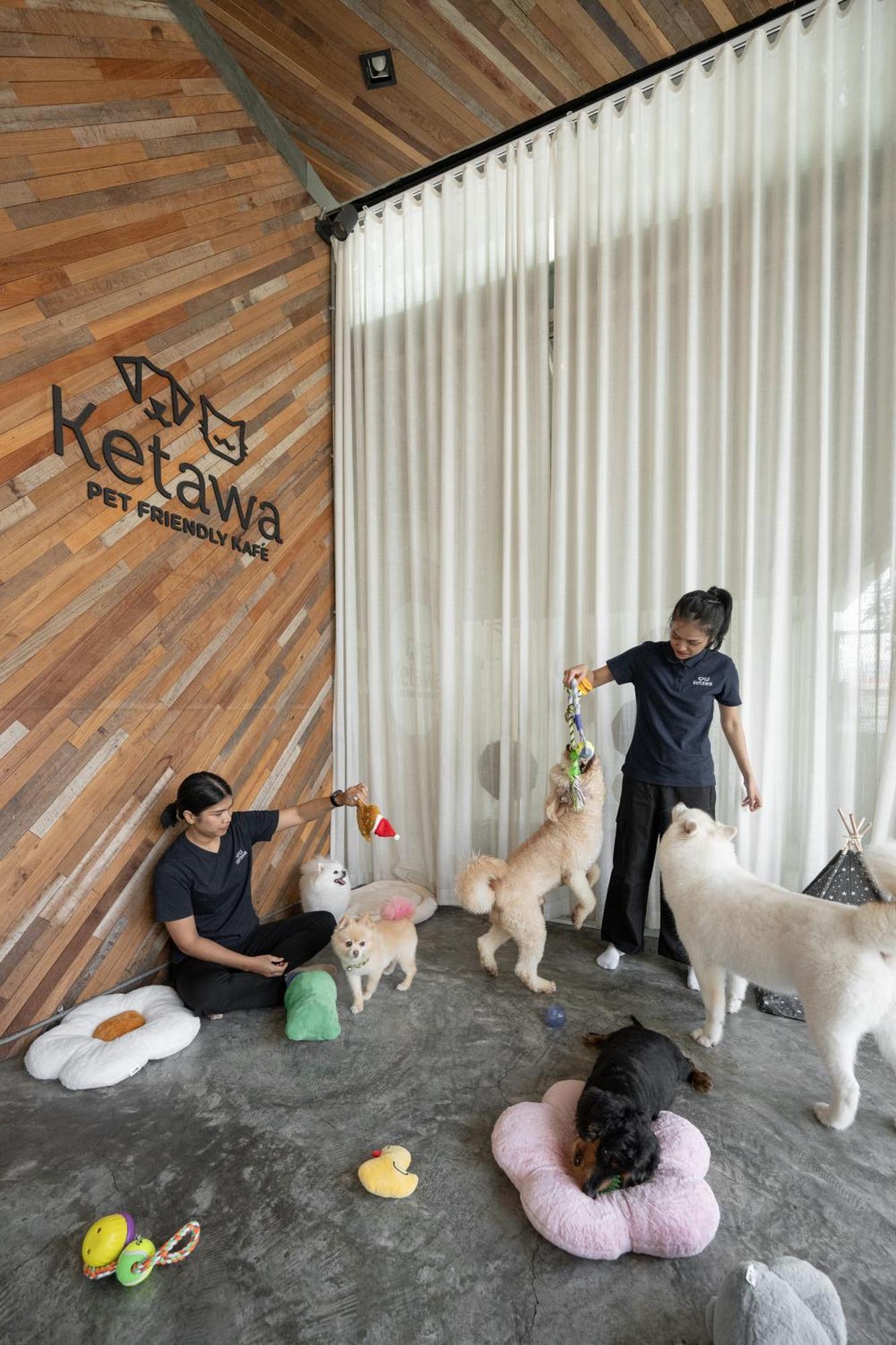 Ketawa Pet Friendly Hotel Csiangmaj Kültér fotó