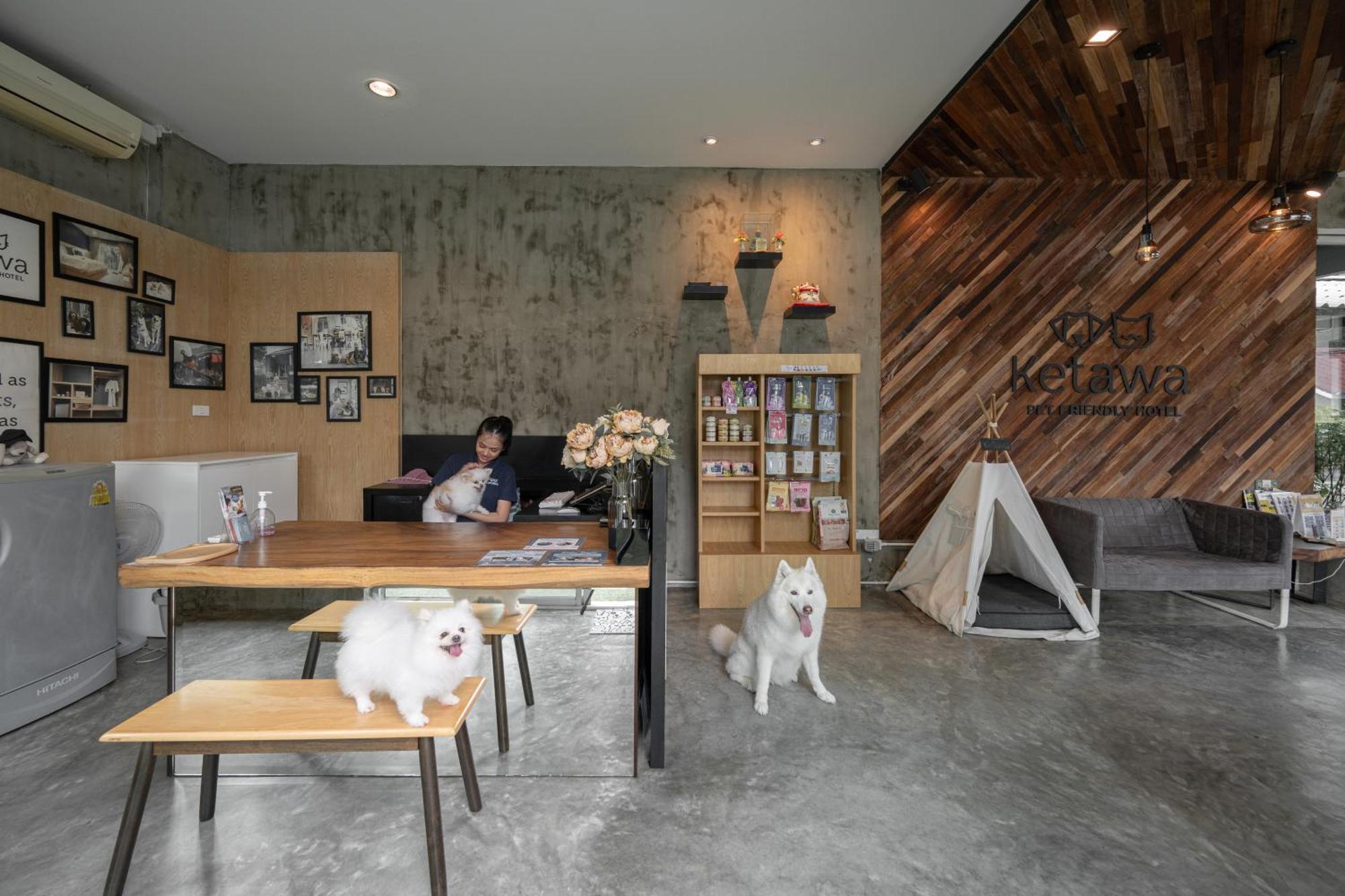 Ketawa Pet Friendly Hotel Csiangmaj Kültér fotó