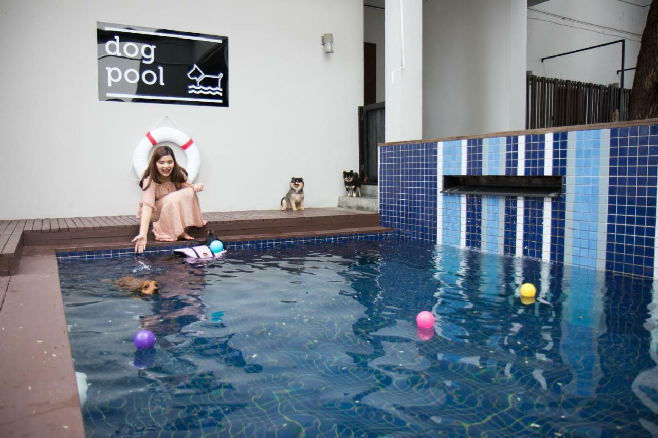 Ketawa Pet Friendly Hotel Csiangmaj Kültér fotó